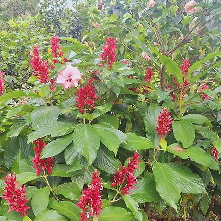 KattappanaTranquil Meadows Hues公寓 外观 照片