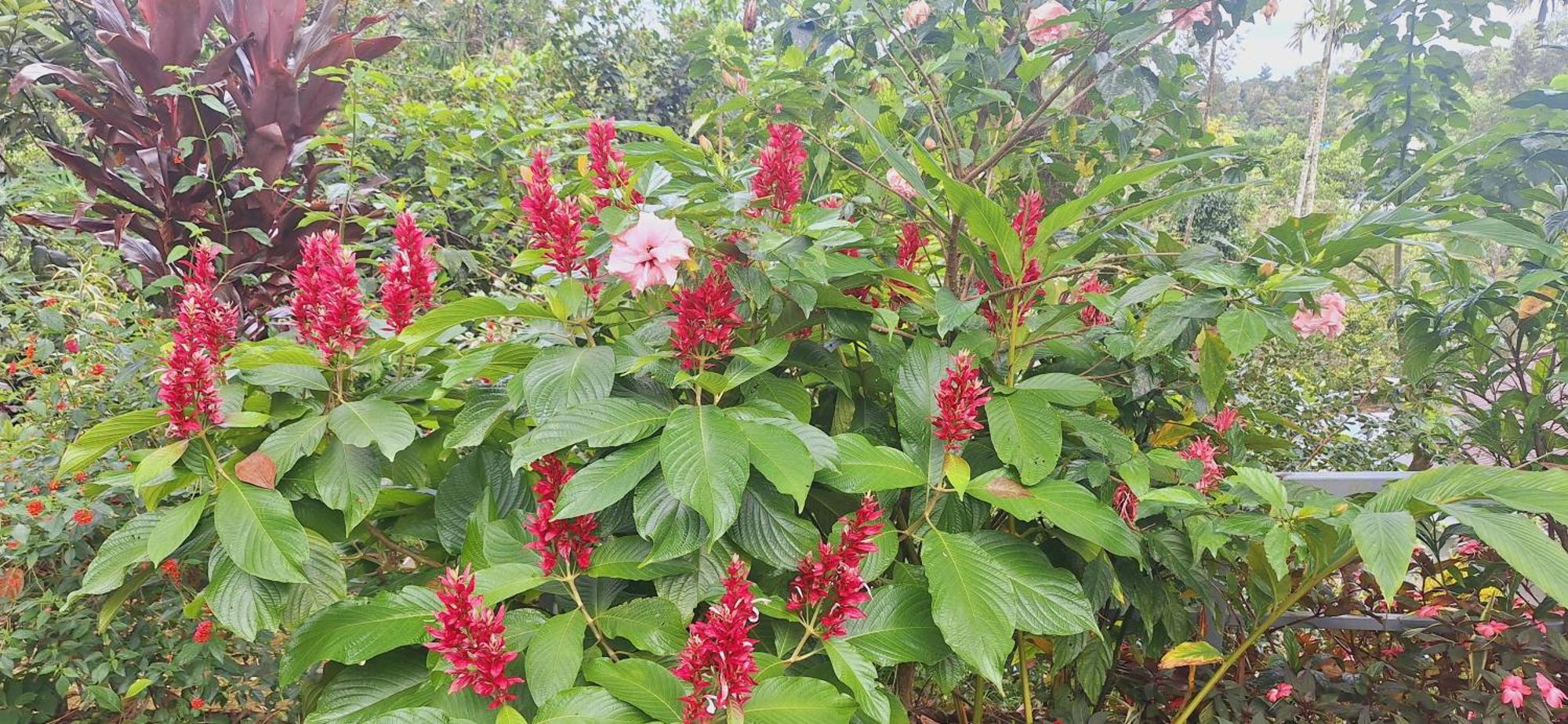 KattappanaTranquil Meadows Hues公寓 外观 照片